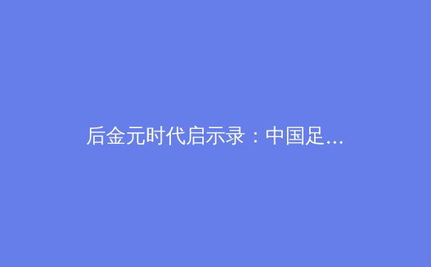 后金元时代启示录：中国足球价值回归与青训体系的重构之路 - 3